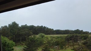 A view from inside a room, looking out through a window at a grassy field with two deer and a forest in the background. - One block to the beach, beautiful 3bd/3ba house with view, come relax and enjoy (Warrenton)