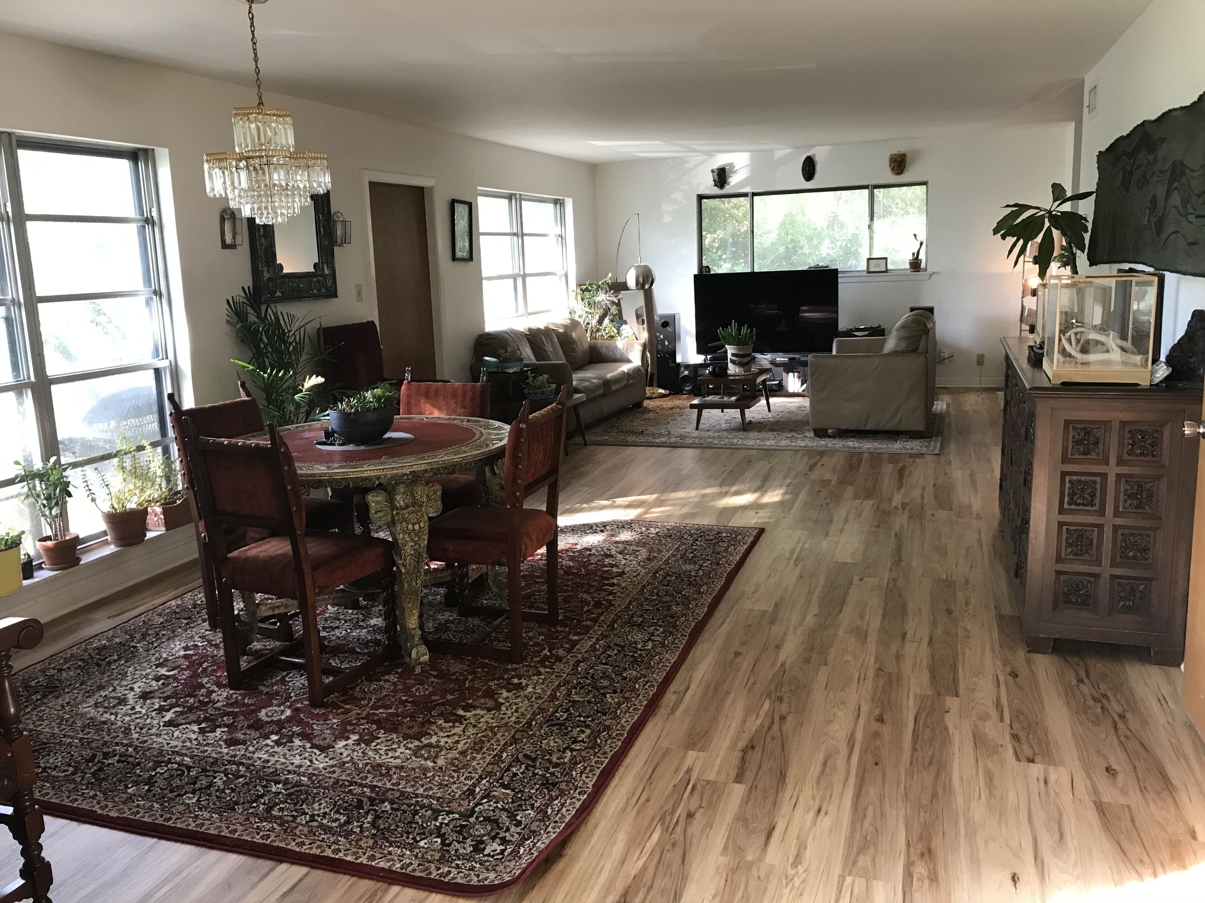 ACL Festival walking! BOHO Mid Century Barton Hills Treehouse