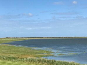 Nicht klassifiziertes Bild, 3 von 34, Schaltfläche