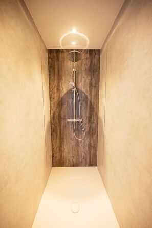 Une douche moderne avec un mur d’accent en bois, un luminaire au plafond et un design minimaliste.