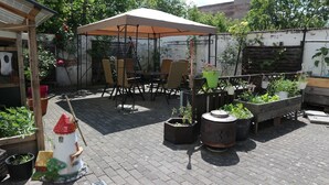 An outdoor patio with a table and chairs under a canopy, surrounded by potted plants and a decorative fountain. - Apartment 2 - Apartment Rosenstadt (Forst (Lausitz))
