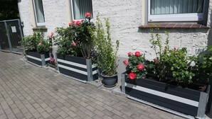 A row of flower boxes with blooming roses along a building's exterior wall. - Apartment 2 - Apartment Rosenstadt (Forst (Lausitz))