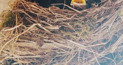 00 - Le Gite de Saint Phal