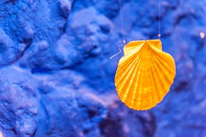Une seule coquille jaune suspendue sur un fond bleu.