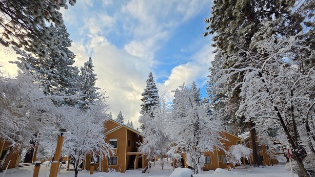 A snow-covered building with a wooden exterior, surrounded by snow-laden trees. - McCloud Condo | Community Hot Tub | Deck | BBQ (Incline Village)