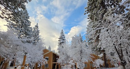 Delightful McCloud - Gorgeous Condo in McCloud!