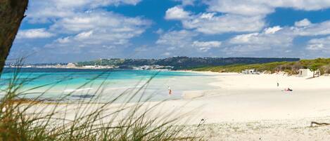 Plage, chaises longues, parasols