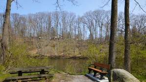 Un espace pique-nique avec des bancs et une table à pique-nique, situé près d’une étendue d’eau, entouré d’arbres et avec un bâtiment visible au loin.