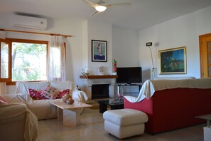 TV, fireplace, DVD player