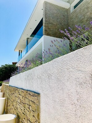 Áreas de la propiedad