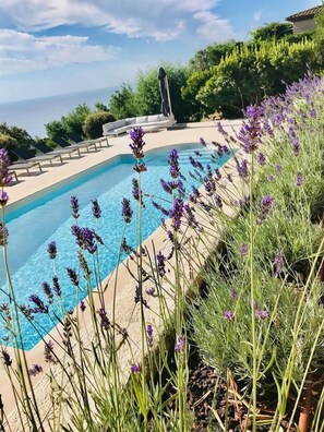 Una piscina con piante di lavanda in primo piano, circondata da vegetazione e un cielo sereno.