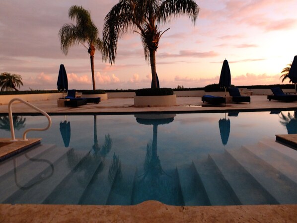 A pool with lounge chairs and palm trees, surrounded by a low wall.