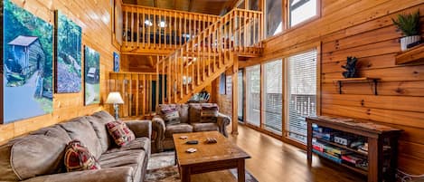 Smart TV, fireplace, DVD player, books