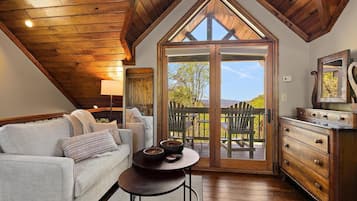 Télévision, cheminée, lecteur de DVD, livres