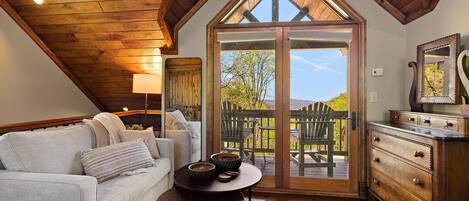 TV, fireplace, DVD player, books