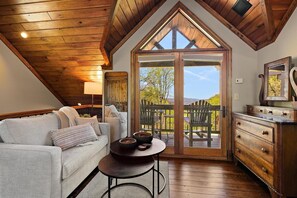 Televisión, chimenea, reproductor de DVD, libros