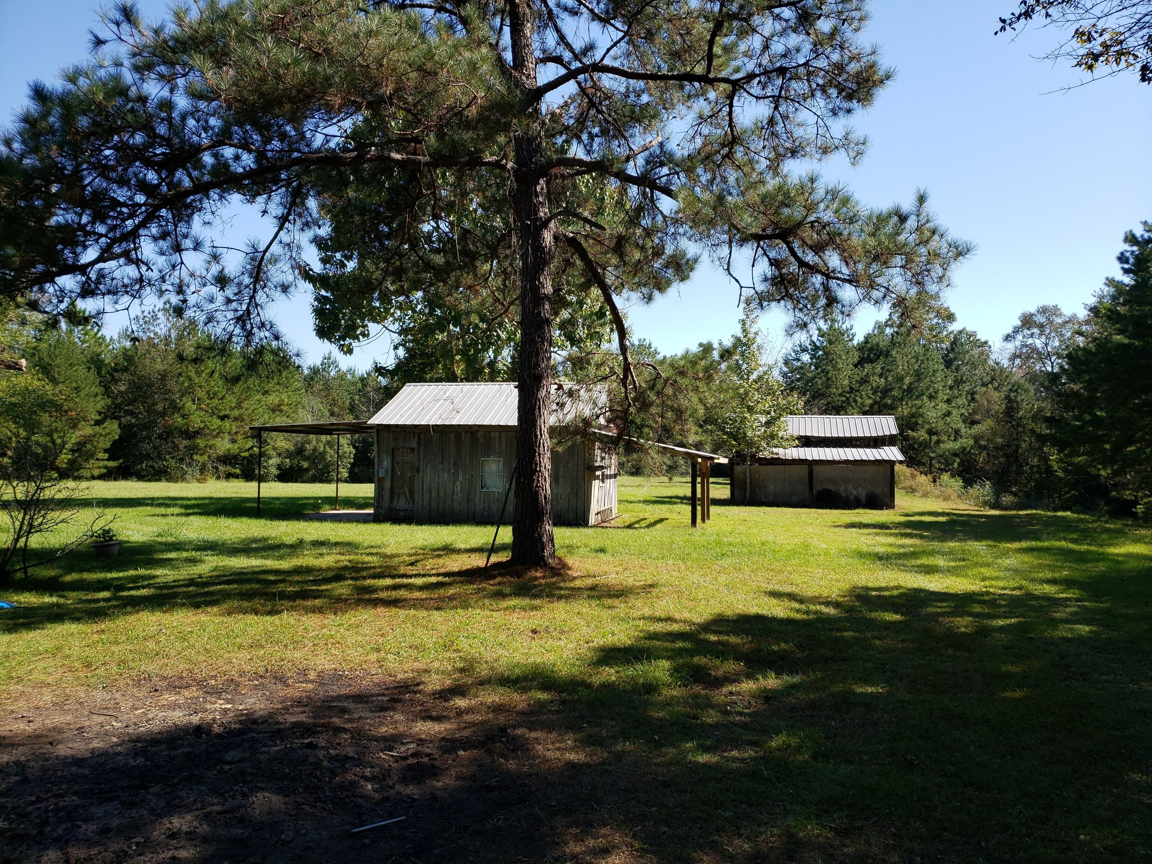 A rustic cabin with a metal roof, surrounded by a grassy field and trees.