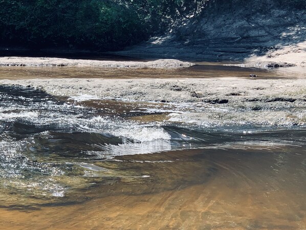 A river with clear water flowing over rocks, surrounded by a forested area. - Cozy waterfront cabin on 20 acres (Wiggins)
