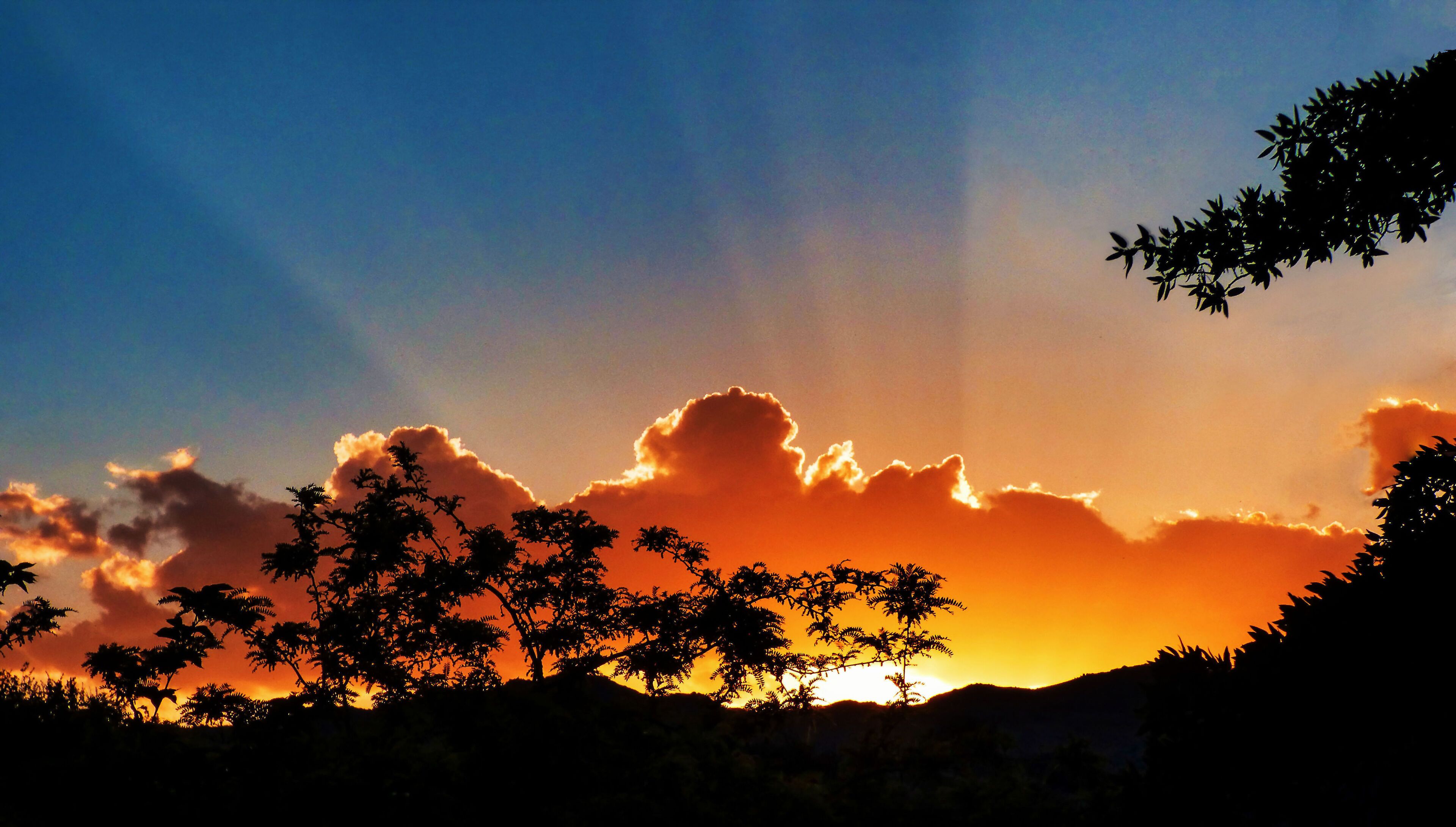 Mountain Breeze in Yarnell, Arizona