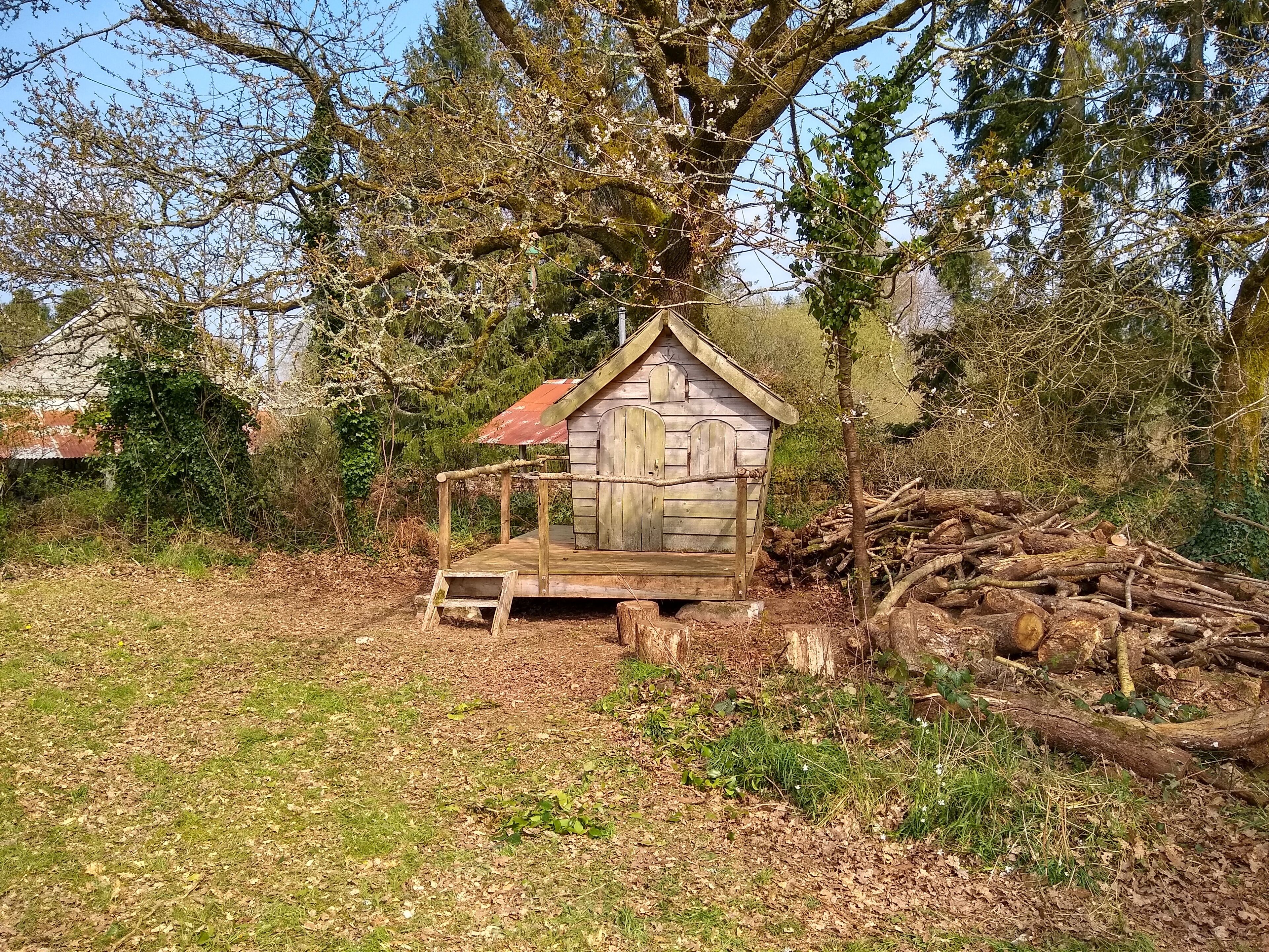 A small wooden structure with a sloped roof, situated in a wooded area with leaf-covered ground and a pile of logs nearby.