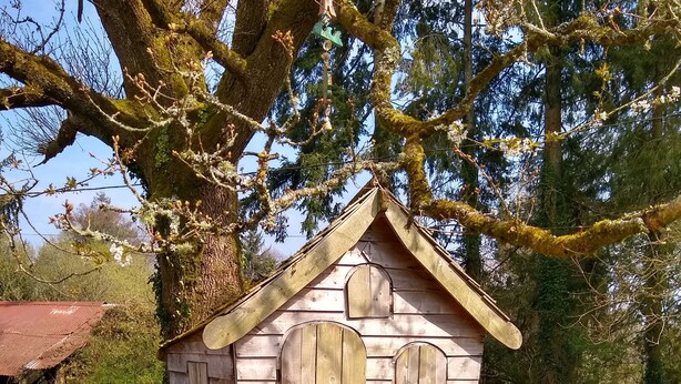 Een rustieke houten vogelhuis met schuine kap en een klein terras.