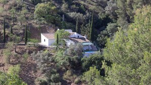 A white building with a tiled roof surrounded by dense greenery and trees.