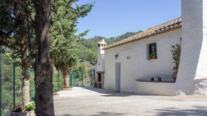A white building with a tiled roof, a small window with a plant, and a tree in the foreground.