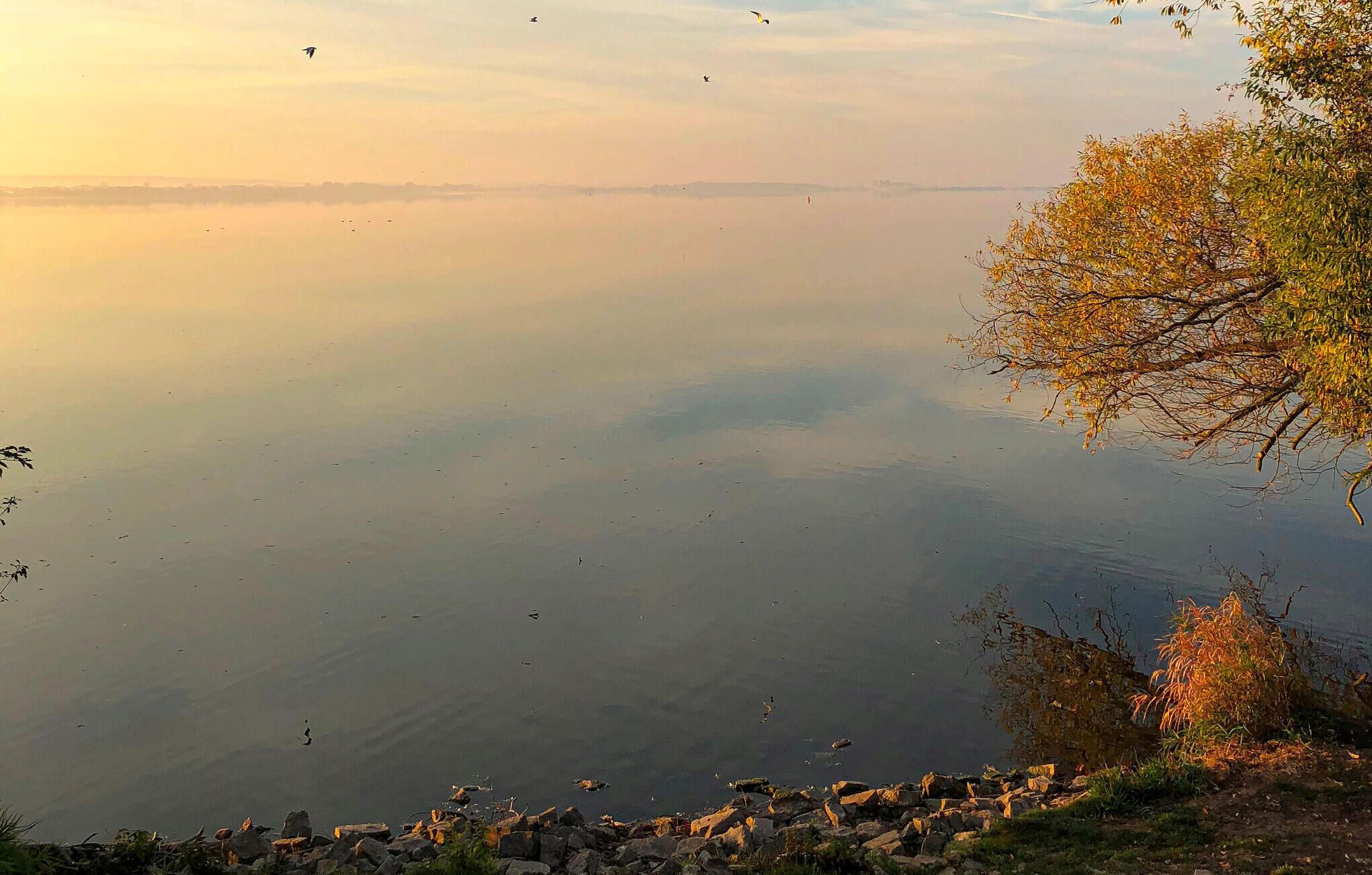 Ein ruhiger See mit steiniger Uferlinie und wenig Vegetation.