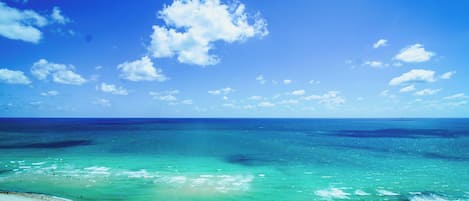 在海滩、沙滩毛巾