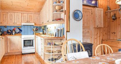 Cozy home in Rauland with WiFi