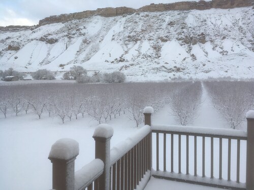 Fester gemahlener Obstgarten auf dem Obst- und Weinweg in Palisade