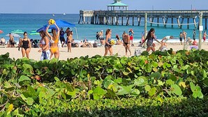 Une plage avec des gens, une jetée et un kiosque.