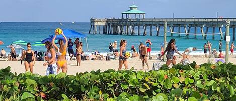 Plage à proximité, chaises longues, serviettes de plage