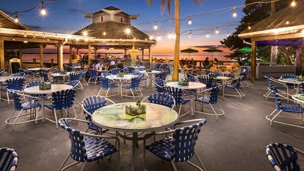 Un espace de restauration en plein air avec des tables rondes et des chaises bleues, entouré de guirlandes lumineuses et de palmiers.