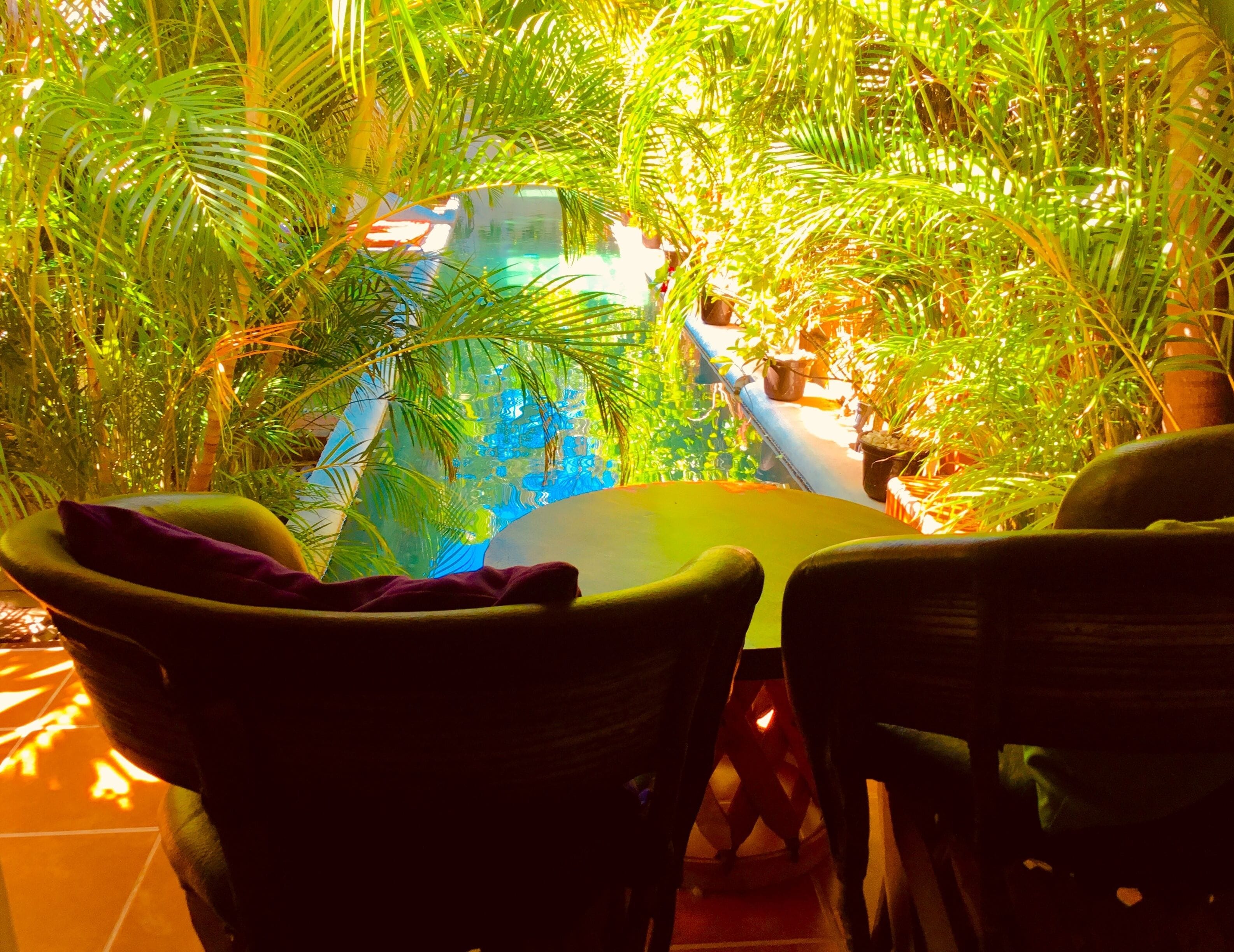Un espacio interior tropical con una mesa redonda y sillas, rodeado de exuberante follaje verde.