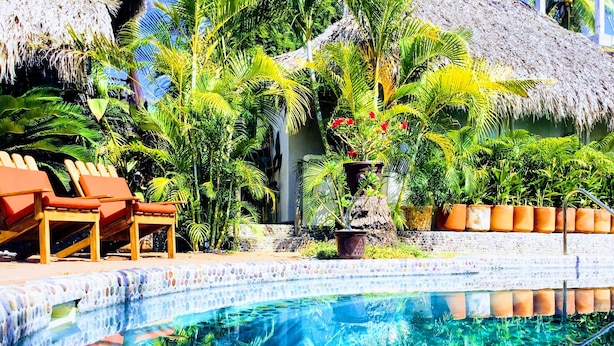 A pool with clear blue water, surrounded by lounge chairs and tropical plants. - Hacienda la Rusa (Barra de Potosi)