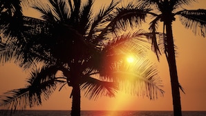 A sunset over the ocean with palm trees silhouetted against the sky. - Hacienda la Rusa (Barra de Potosi)