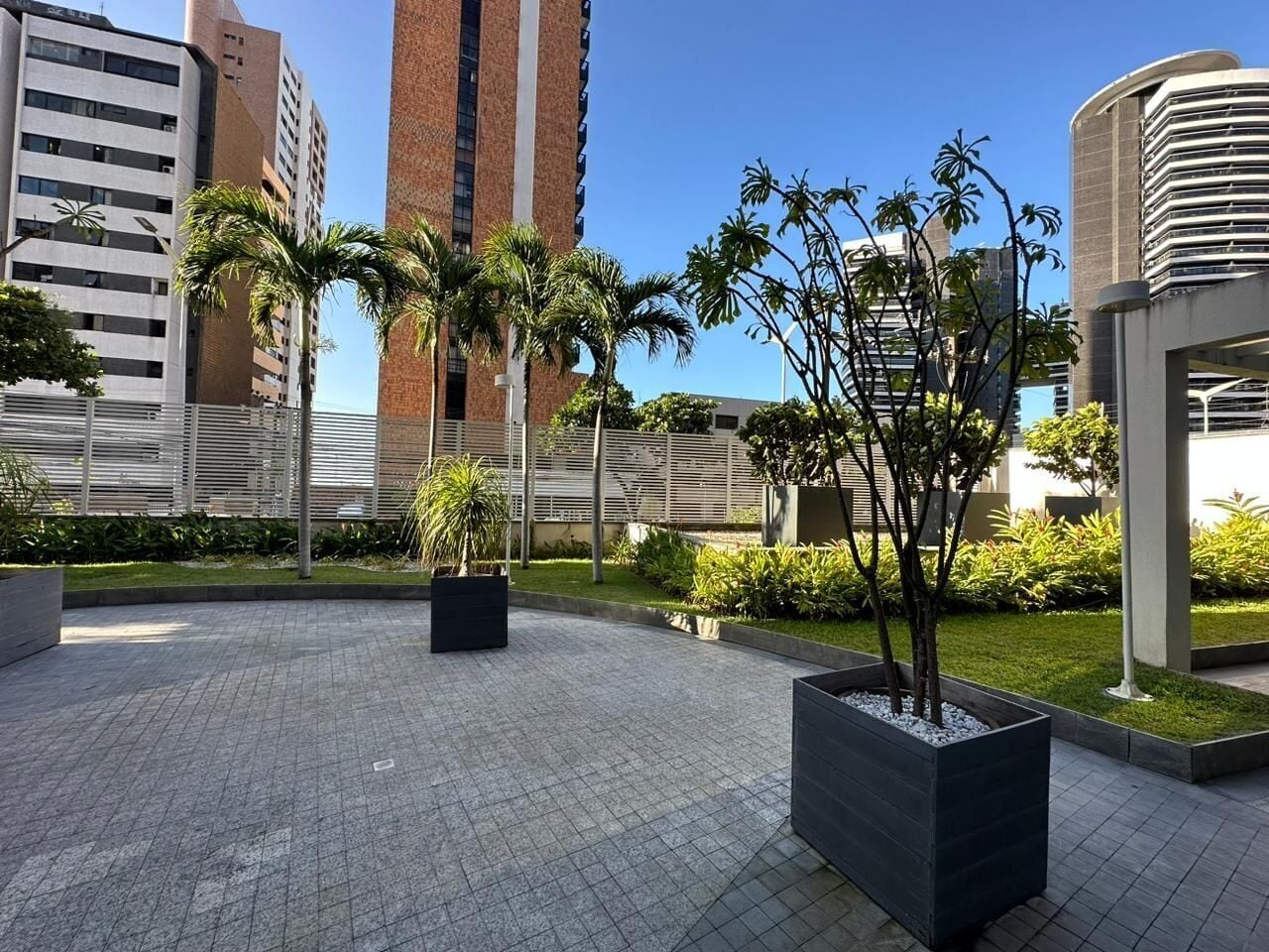 Un patio con edificios modernos, plantas en macetas y un sendero pavimentado.