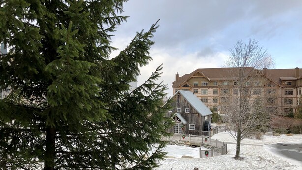 Un chalet rustique doté d’une grande fenêtre et d’une façade en bois, entouré de neige et d’arbres.
