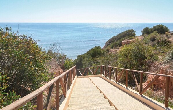 Property grounds - Stunning home in San Miguel de Salinas (San Miguel de Salinas)