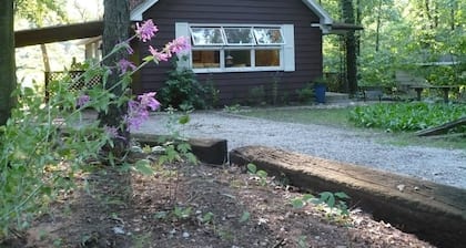 Walk to Lake Michigan Beach from Cottage in the Woods - *Seaside Fired Smores*