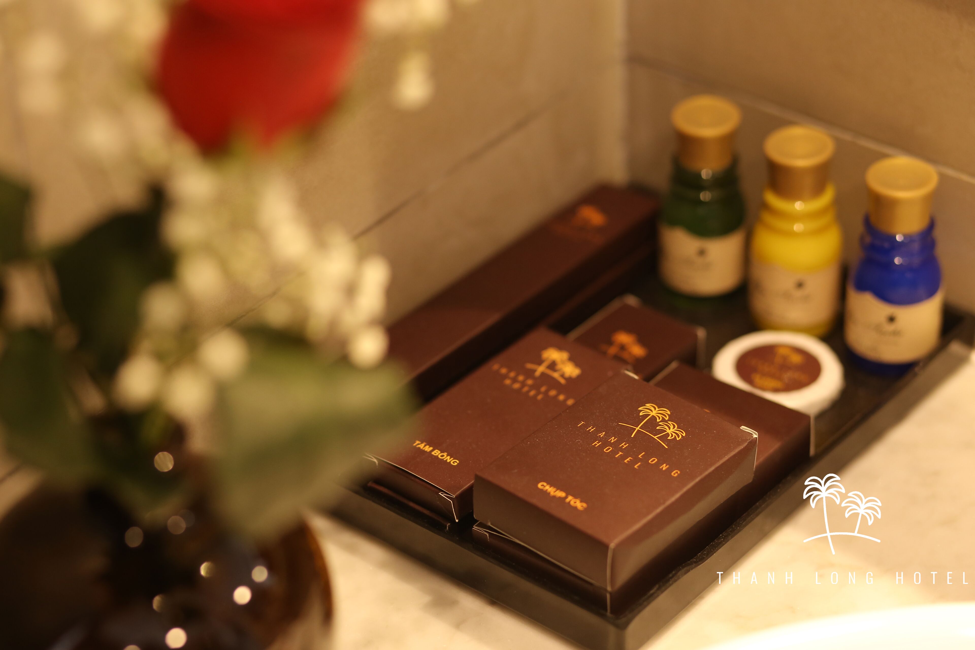 Photo - Thanh Long Hotel - Bach Dang