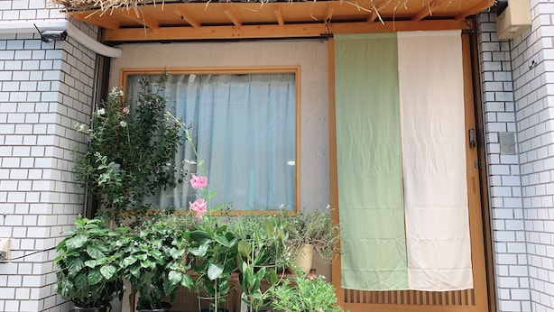 A building entrance with a wooden overhang, a window with a curtain, and several potted plants. - Hotel Minami (Tokyo)