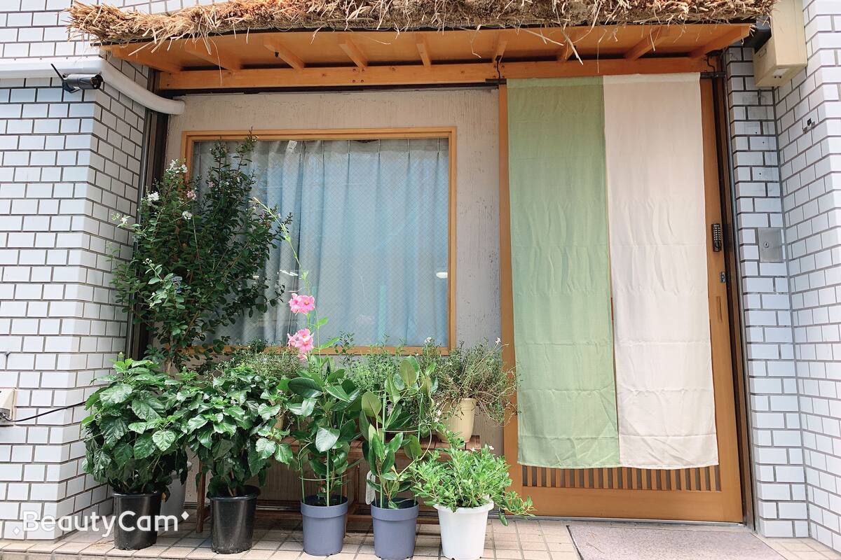 A building entrance with a wooden overhang, a window with a curtain, and several potted plants.
