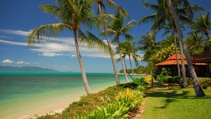Escena de playa tropical con palmeras, agua turquesa cristalina y un pequeño edificio con techo rojo.