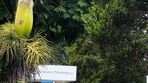 A sign for Dakura Pharmacy, surrounded by lush greenery and a curved pathway.