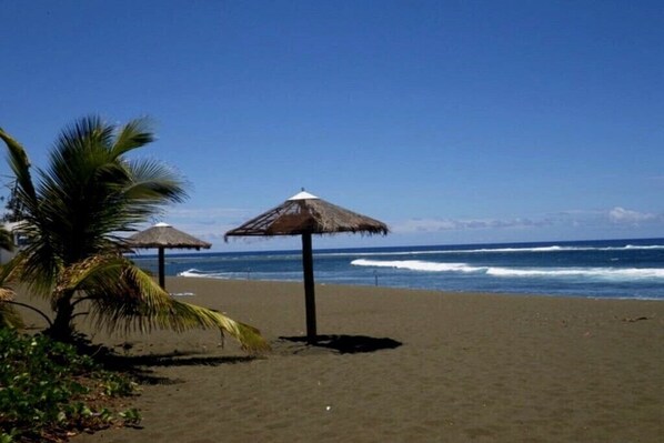 Une plage avec des parasols en chaume et des palmiers.