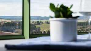 A window with a view of a rural landscape, a white pot with green plants, and a white object on the windowsill. - Sonnenschein (B 110) by Interhome (Dittishausen)