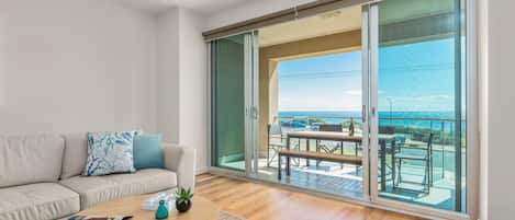 电视、DVD 播放器