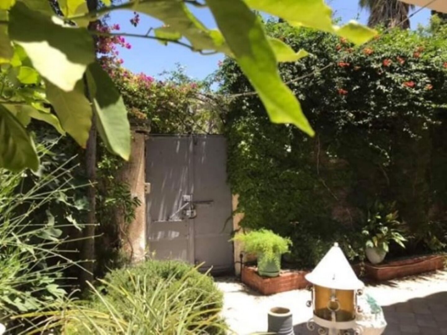 Área da propriedade